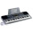 See the photo of the Casio CTK-601 Casio CTK-601