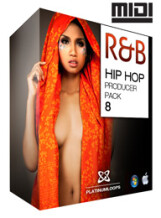 Platinum Loops Hip Hop Producer Pack 8 - R&B'