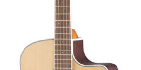 Vends guitare électro-accoustique
