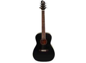 Elypse Guitars D Little