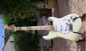 Fender Custom Shop Relic Stratocaster Pro