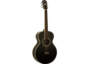 Washburn WPJ5SB