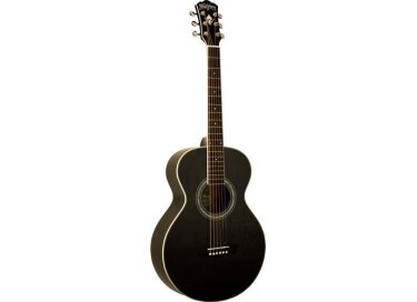 Washburn WPJ5SB