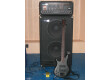 Sunn 300 T