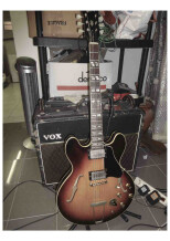 Gibson ES-345 TD (1969)