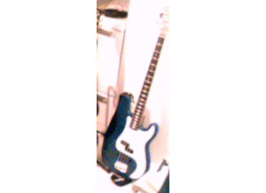 Barracuda Guitars Precision Bass