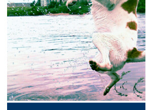 Detunized DTS027 - Just Water