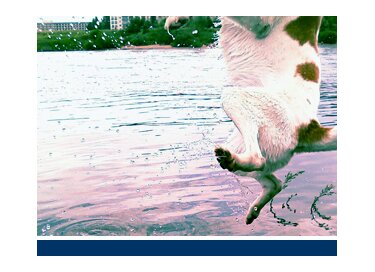 Detunized DTS027 - Just Water