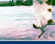 Detunized releases DTS027 - Just Water Live Pack