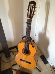 Pedro Maldonado Ronda