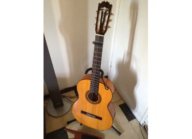 Pedro Maldonado Ronda