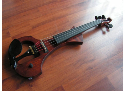 Luthier Tomas Reiter, Modèle Classic