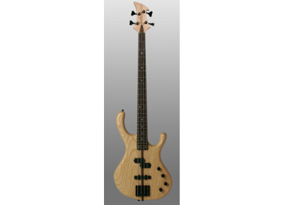 Bootleg Guitars & Basses Huntington Standard