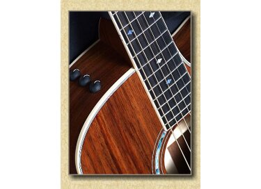 Taylor 426ce Limited Edition