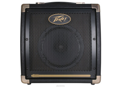 Peavey Ecoustic E20
