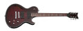 Schecter Hellraiser Solo-6 E/A