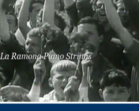 Detunized DTS028 - La Ramona Piano Strings