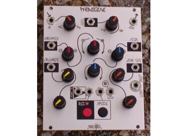 Make Noise Phonogene