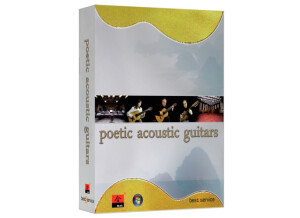 Best Service Poetic Acoustic Guitars