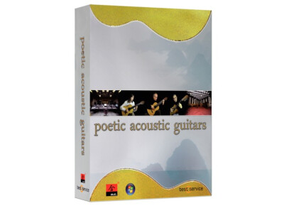 Best Service Poetic Acoustic Guitars