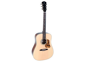 Levinson Garry LD-47