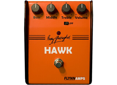 Flynn Amps Rory Gallagher Hawk