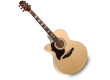 Takamine EG523SC-LH