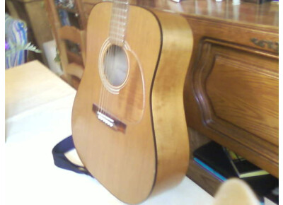 Nash Acoustic Guitar MV 40 PX