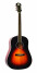 Win a Recording King Jubilee Series Guitar