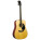 Voir la photo de la Recording King RD-10 Recording King RD-10