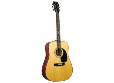 Recording King RD-10