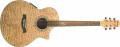 Ibanez EW20ASENT bois exotique