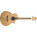 Voir la photo du Ibanez EW20ASE Ibanez EW20ASE
