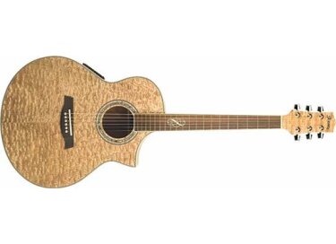 Ibanez EW20ASE