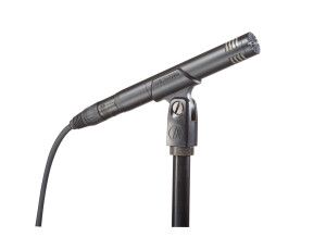 Audio-Technica AT2031