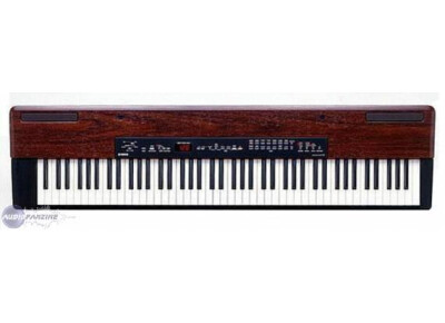 Yamaha P-120