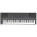 Yamaha P-200