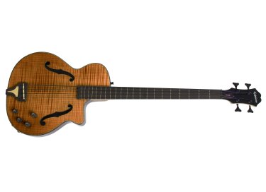 Epiphone Zenith Fretless