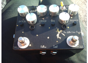 VFE Pedals Echo Oche