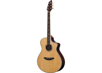 Breedlove AC25/SR Plus
