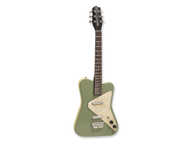 Danelectro Dano Pro