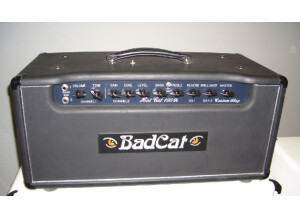 Bad Cat Hot Cat 100R Head