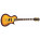 Voir la photo de la Epiphone Nighthawk Standard 3 Epiphone Nighthawk Standard 3