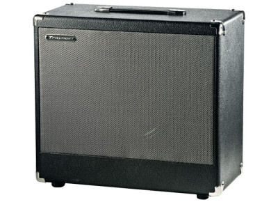 Traynor DHX12 DarkHorse