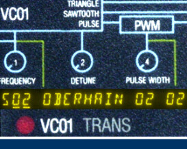 Detunized DTS030 - Oberhain