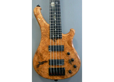 WSL Guitars Play Me Fonky 5