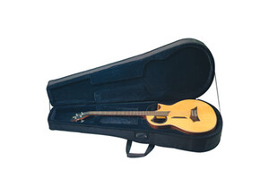 RockCase RC 20810 B