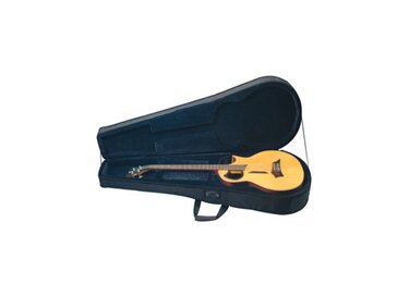 RockCase RC 20810 B