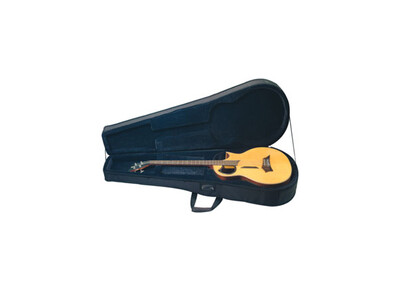 RockCase RC 20810 B