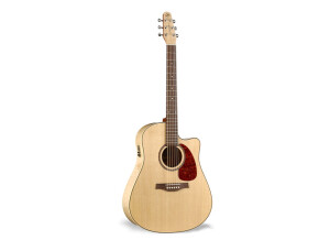 Seagull Performer CW Flame Maple QI